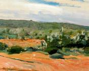 华金索罗利亚巴斯蒂达 - Chumberas study